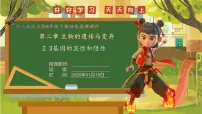 初中生物人教版（2024）八年级下册（2024）第三节 基因的显性和隐性公开课课件ppt