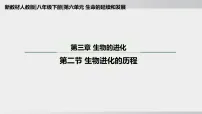 生物八年级下册（2024）第二节 生物进化的历程课前预习ppt课件