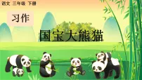 小学习作 国宝大熊猫多媒体教学课件ppt