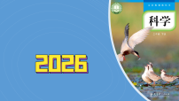 小学教科版（2024）6.茧中钻出了蚕蛾教学ppt课件