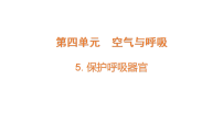 大象版（2024）三年级下册（2024）第四单元  空气与呼吸5  保护与运动课文配套ppt课件