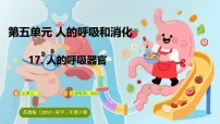 小学科学苏教版（2024）三年级下册（2024）第5单元 人的呼吸和消化17 人的呼吸器官教学演示课件ppt