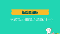 辽宁省2025中考语文基础题组练积累与运用题组巩固练十一练课件