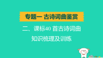 辽宁省2025中考语文第二部分文言文阅读专题一古诗词曲鉴赏课标40首古诗词曲知识梳理及训练七上讲课件