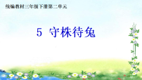 小学语文统编版（2024）三年级下册（2024）5 守株待兔授课ppt课件