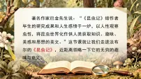 初中语文人教部编版（2024）八年级下册（2024）《昆虫记》教课内容ppt课件
