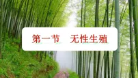 人教版（2024）八年级下册（2024）第一节 无性生殖授课课件ppt