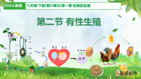 初中生物人教版（2024）八年级下册（2024）第一节 无性生殖教学演示ppt课件
