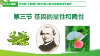 初中生物人教版（2024）八年级下册（2024）第六单元 生命的延续和发展第二章 生物的遗传与变异第三节 基因的显性和隐性课堂教学ppt课件