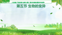生物八年级下册（2024）第五节 生物的变异集体备课课件ppt