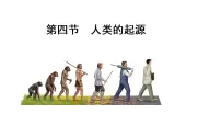 人教版（2024）八年级下册（2024）第四节 人类的起源示范课课件ppt