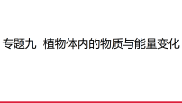 2026年中考生物一轮复习专题9  植物体内的物质与能量变化课件(49)
