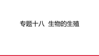 2026年中考生物一轮复习专题18 生物的生殖课件(36)