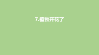 小学科学苏教版（2024）三年级下册（2024）第2单元 植物的一生7 植物开花了评课课件ppt