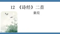 人教部编版（2024）蒹葭多媒体教学ppt课件