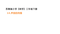 苏教版（2024）三年级下册（2024）14 声音的传播教学课件ppt