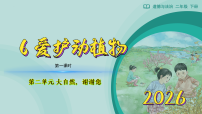 政治 (道德与法治)二年级下册（2024）第6课 爱护动植物教案配套课件ppt