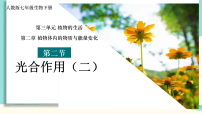 初中生物人教版（2024）七年级下册（2024）光合作用课文ppt课件