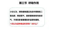 初中生物人教版（2024）七年级下册（2024）呼吸作用授课ppt课件