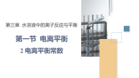 高中化学人教版 (2019)选择性必修1电离平衡教课内容ppt课件