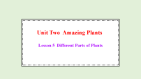 英语五年级下册（2024）Unit Two Amazing PlantsLesson 5 Different Parts of Plants背景图ppt课件