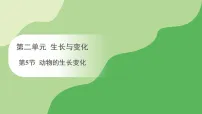 冀人版（2024）三年级下册（2024）5 动物的生长变化备课课件ppt