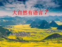 初中语文人教部编版（2024）八年级下册（2024）5 大自然的语言教学课件ppt