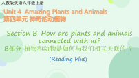 初中英语人教版（2024）八年级上册（2024）Unit 4 Amazing Plants and Animals Section B示范课课件ppt