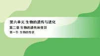 冀少版（2024）八年级下册（2024）第一节 生物的性状教案配套课件ppt