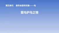 美术七年级下册（2024）爱鸟护鸟之情授课ppt课件