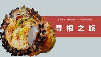 初中美术人教版（2024）七年级下册（2024）第1课 寻根之旅评课ppt课件