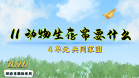 科学二年级下册（2024）11 动物生存需要什么​教课ppt课件