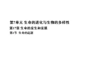 北师大版（2024）八年级下册（2024）生命的起源背景图课件ppt