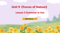 仁爱科普版（2024）八年级下册（2024）Grammar in use完整版课件ppt