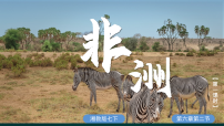 初中地理湘教版（2024）七年级下册（2024）非洲备课ppt课件