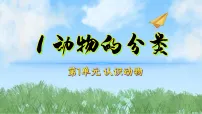 小学科学粤教粤科版（2024）三年级下册（2024）第1课 动物的分类课堂教学ppt课件