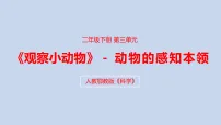 人教鄂教版（2024）二年级下册（2024）9 动物的感知本领教案配套课件ppt