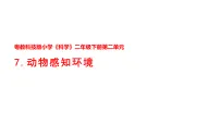 小学科学粤教粤科版（2024）二年级下册（2024）第7课 动物感知环境授课课件ppt