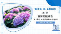 化学九年级下册（2024）溶液的酸碱性教学课件ppt