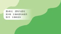 初中生物苏教版（2024）八年级下册（2024）第6单元 遗传与进化第20章 生物的遗传和变异第4节 生物的变异教学演示课件ppt