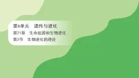 苏教版（2024）八年级下册（2024）第3节 生物进化的理论图片ppt课件
