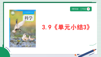 教科版（2024）单元小结教学课件ppt