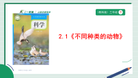 教科版（2024）三年级下册（2024）1.不同种类的动物一等奖教学ppt课件