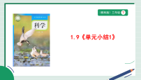科学三年级下册（2024）单元小结优秀教学ppt课件
