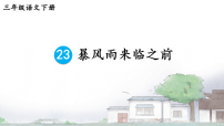 小学语文统编版（2024）三年级下册（2024）23 暴风雨来临之前备课ppt课件