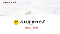 小学语文统编版（2024）三年级下册（2024）24 我们奇妙的世界集体备课课件ppt