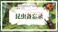 统编版（2024）三年级下册（2024）4* 昆虫备忘录示范课ppt课件