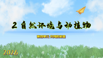 科学二年级下册（2024）2 自然环境鱼动植物教学ppt课件