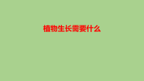 科学二年级下册（2024）10 植物生长需要什么​课前预习课件ppt
