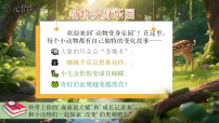 统编版（2024）二年级下册（2024）第七单元・阅读19 蜘蛛开店授课课件ppt